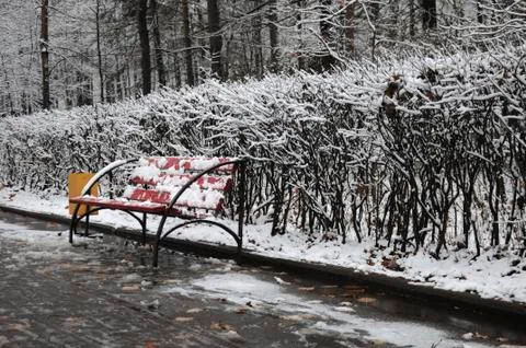 Single bench in a winter park Stock Photos