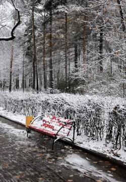 Single bench in a winter park Foto stock
