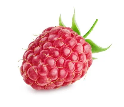 Single berry raspberry isolated Stock Photos