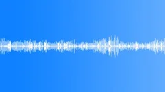 Single Bird Chirping in the City Yard (denoised)Sound Effect