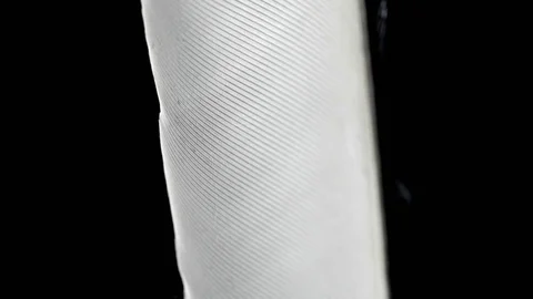 Single bird feather against a black backdrop stock footage Stock Footage 82843465
