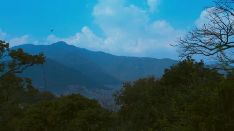 Single Bird Flying In Sky Above Kathmandu Valley Nepal Asia Framed By Trees Stock Footage 168604128