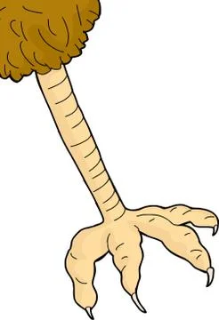 Single bird foot Stock Illustration