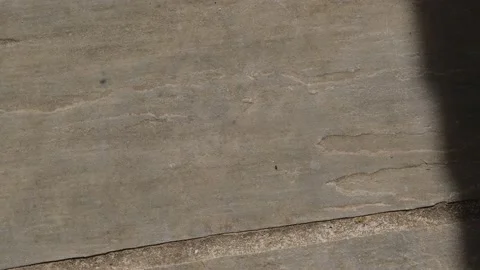 A single black ant running across a grey textured patio slab Stock Footage 198157348