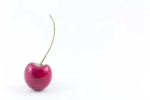 Single black cherry Stock Photos