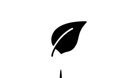Single black leaf on white background Stock Footage 327761689
