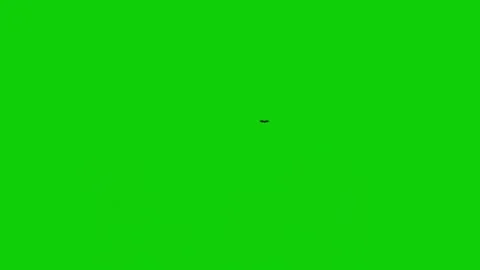 Single black silhouette bat flying with flapping wings against bright green.. Stock Footage 343507932