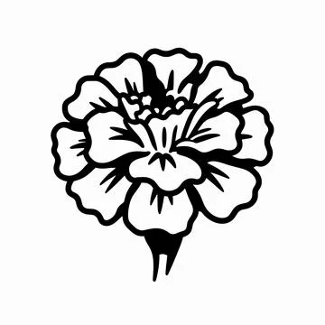 Single blooming marigold flower in flat vector illustration style, bold bla.. Illustrazione stock