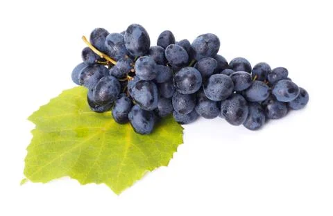 Single blue grape cluster on leaf 스톡 사진