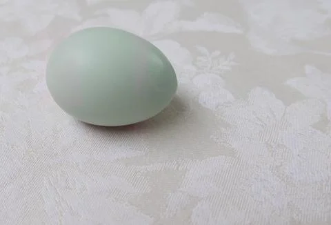 Single blue hens egg on white damask tablecloth with copy space Stock Photos