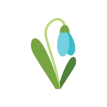 Single blue snowdrop flower blooming with green leaves Stock Illustration