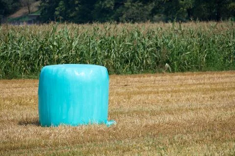 Single blue wrapped round silage hay bale on harvested field in Bioggio Stock Photos