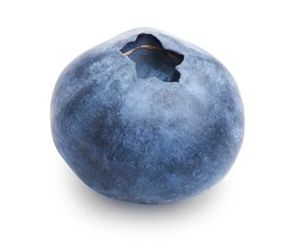 Single blueberry isolated Stock Photos