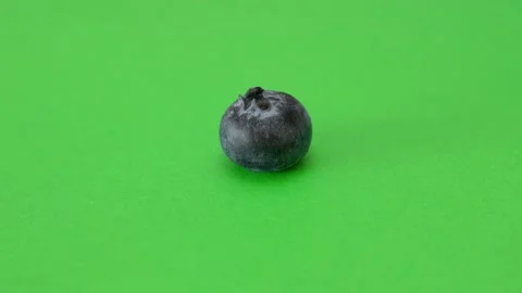 A single blueberry rotating on green background Stock-Footage 291622971