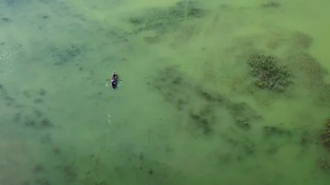 Single boat in the middle of a green lake aerial shot Stock Footage 259201612