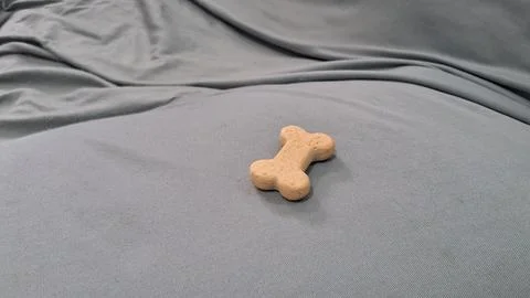Single bone shaped dog biscuit sitting on soft grey fabric Foto stock