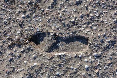 Single boot footstep inprinted in sand Stock Photos