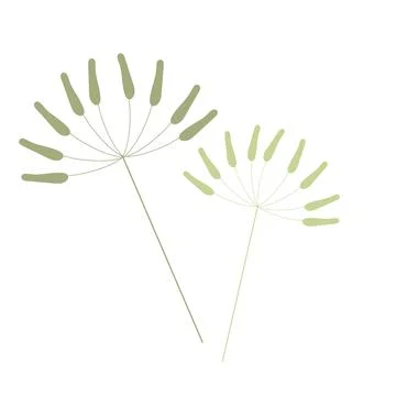 Single botanical element isolated on white background. Stock Illustration