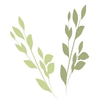 Single botanical element isolated on white background. Stock Illustration