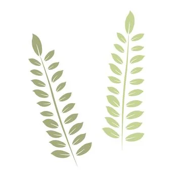 Single botanical element isolated on white background. Stock Illustration