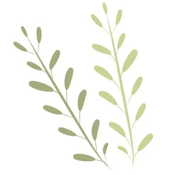 Single botanical element isolated on white background. Stock Illustration