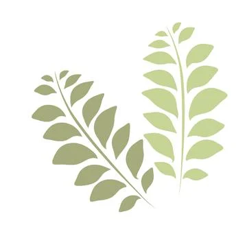 Single botanical element isolated on white background. Stock Illustration