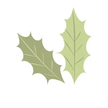 Single botanical element isolated on white background. Stock Illustration