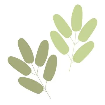 Single botanical element isolated on white background. Illustrazione stock