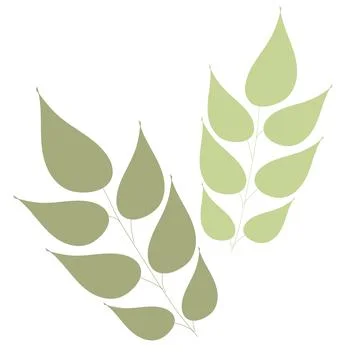 Single botanical element isolated on white background. Illustrazione stock