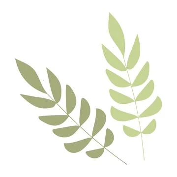 Single botanical element isolated on white background. Stock Illustration