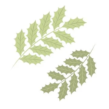 Single botanical element isolated on white background. Illustrazione stock