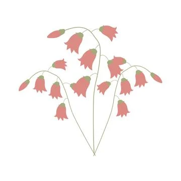 Single botanical element isolated on white background. Illustrazione stock