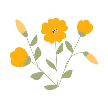 Single botanical element isolated on white background. Stock Illustration