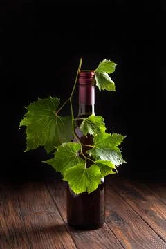 Single bottle of dark red wine adorned with fresh green grape leaves on a w.. Stock Photos