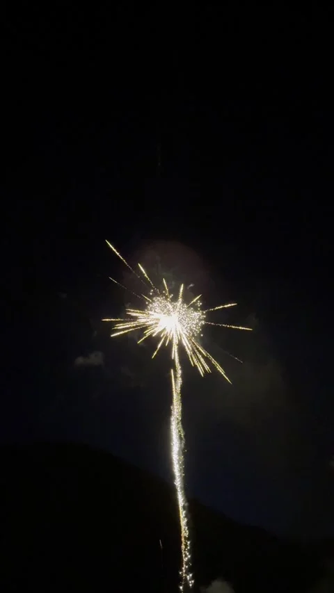 A single, bright firework rises into the darkness, sparks fly Stock Footage 313696076
