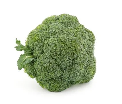 Single broccoli floret Stock Photos