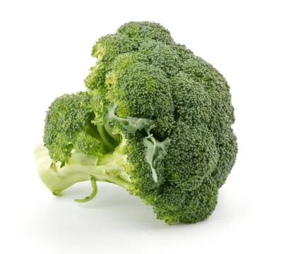 Single broccoli floret Stock Photos