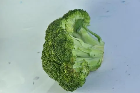 Single broccoli vegetable Stock Photos