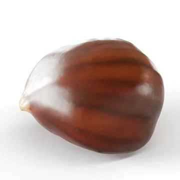 A single brown chestnut, 3d rendering Illustrazione stock