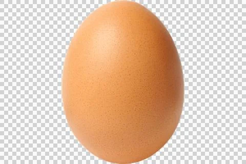 A single brown chicken egg isolated on transparent background Stock Illustration