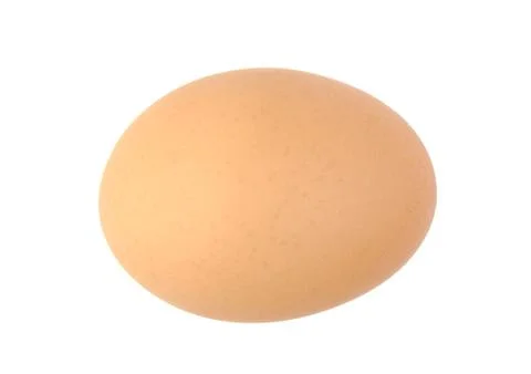 Single brown chicken egg isolated on white. Stock Photos