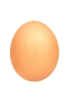 Single brown chicken egg isolated on white background Stock Photos