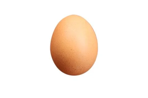 Single brown chicken egg isolated on white background Photo Stock Photos