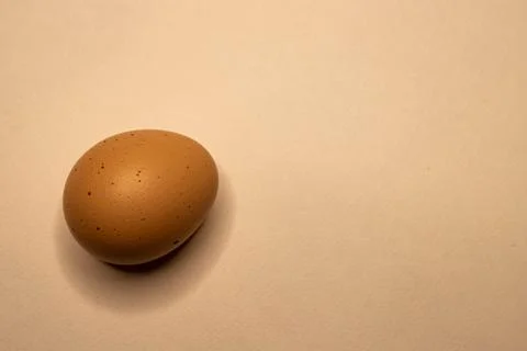 Single Brown Chicken Egg on Light Neutral Background with Copy Space Foto stock
