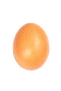 Single brown chicken egg Stock Photos