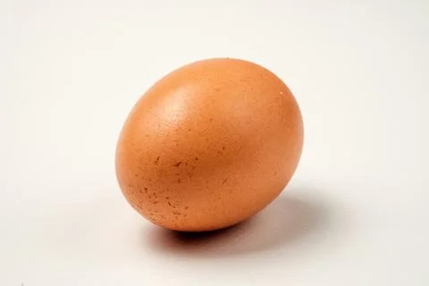 Single brown chicken egg Stock Photos