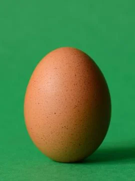 Single brown chicken Stock Photos