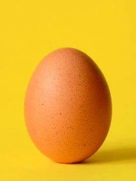 Single brown chicken Stock Photos
