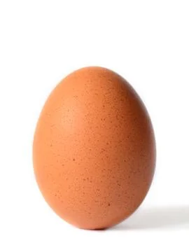 Single brown chicken Stock Photos