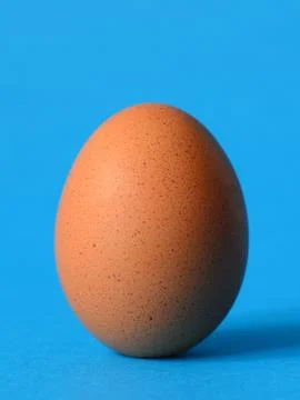 Single brown chicken Stock Photos